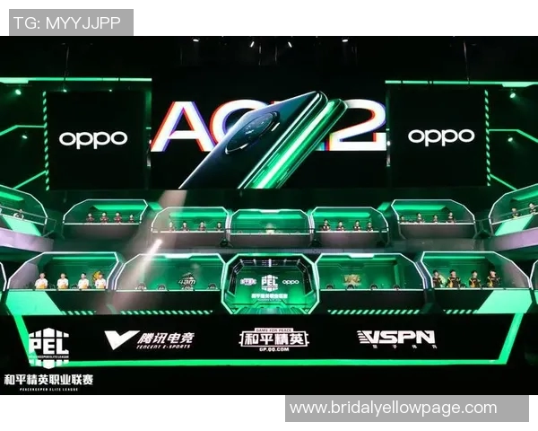 S15LOL比赛中RNG战队的盯防体系与和平精英战术的深度解析与对比实时数据 S15LOL比赛中RNG战队的盯防体系与和平精英战术的深度解析与对比实时数据